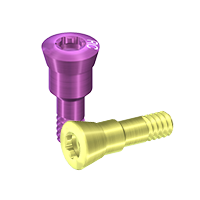 Винты заглушки