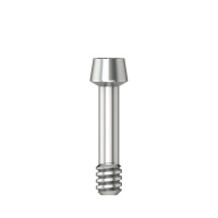Винт абатмента клинический, резьба M 1.6, длинный, для отвертки Ball Torx, угловой