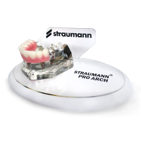Челюсть Straumann Pro Arch демонстрационная прозрачная на подставке