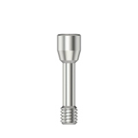 Винт скан-маркера, M 1.6, для отвертки Torx T6